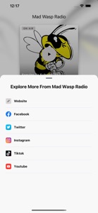 Mad Wasp Radio screenshot #3 for iPhone