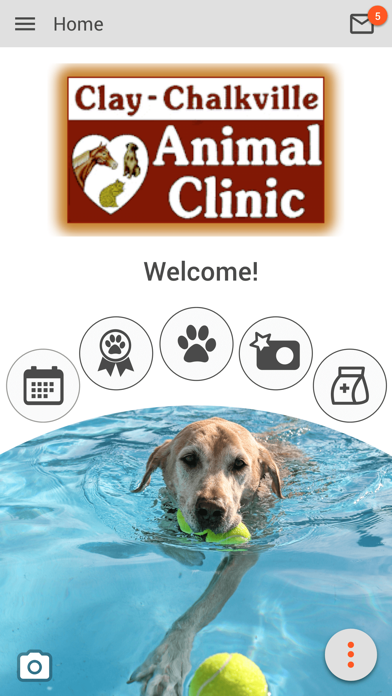 Clay Chalkville Animal Clinic Screenshot