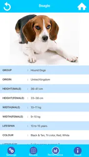 dog breeds guide & quiz iphone screenshot 3