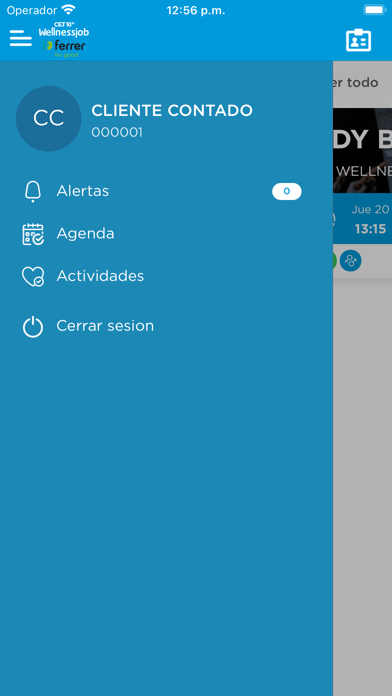 Wellnessjob Ferrer Screenshot
