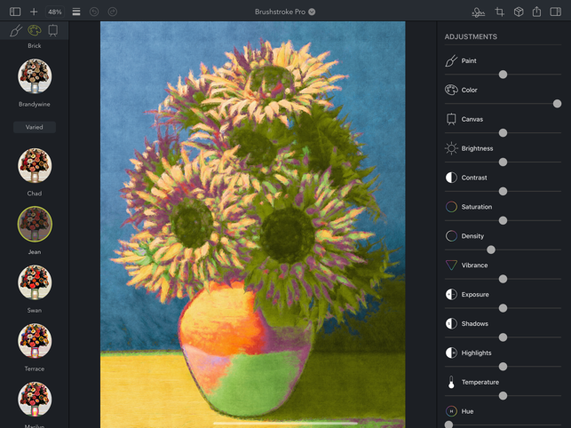Brushstroke Pro for iPad Screenshot