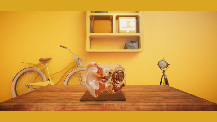 Sisanda App Universe