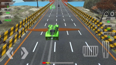 Traffic Racer Champion Game Screenshot
