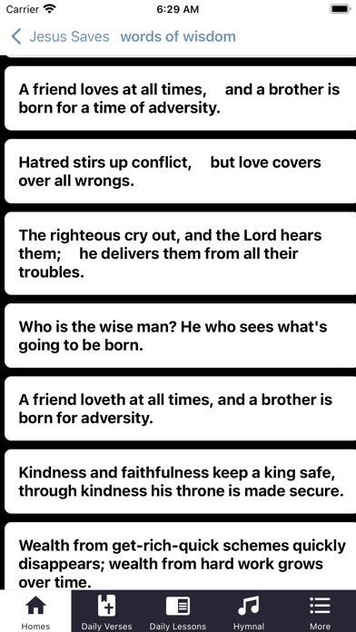 Bible Study Daily Screenshot