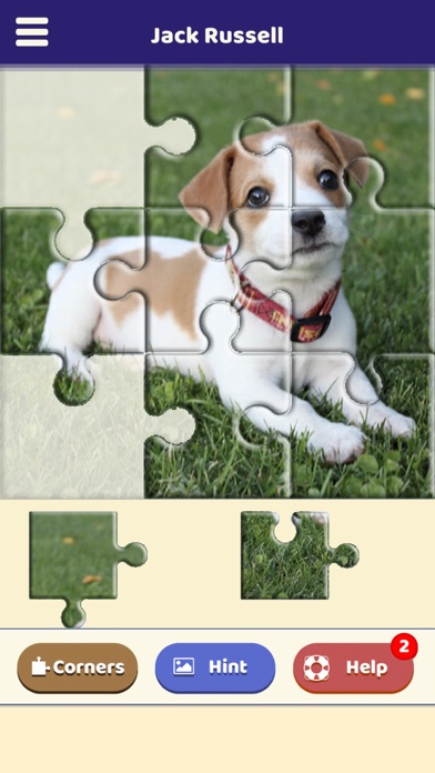 Jack Russell Puzzle Screenshot