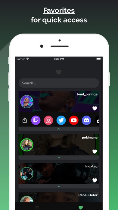 Social Media from Twitch Screenshot