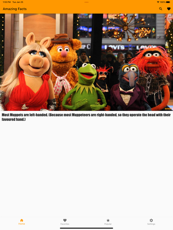Screenshot #4 pour Amazing Funny Facts