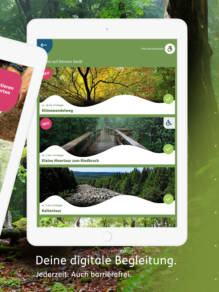 Hunsrück-Hochwald Nationalpark