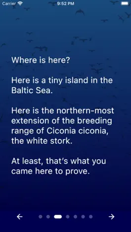 Game screenshot Stork Raven Madge hack