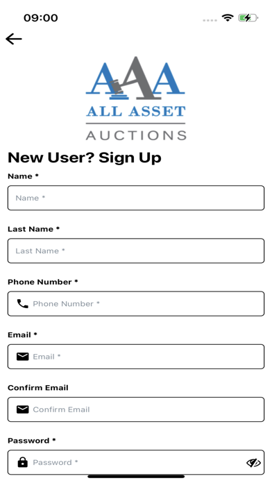 All Asset Auction Screenshot
