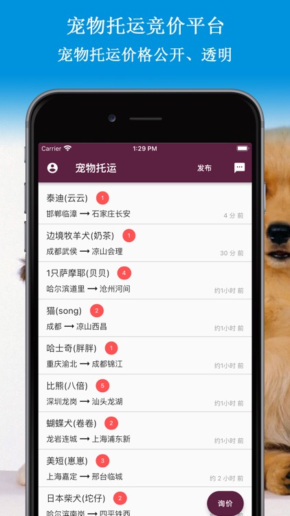 宠物托运-专业宠物快递平台
