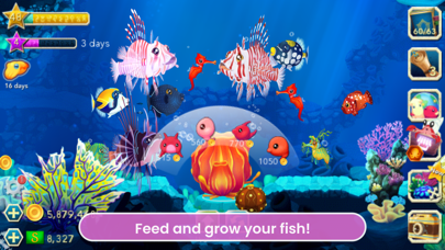 Splash: Underwater Sanctuary screenshot 3