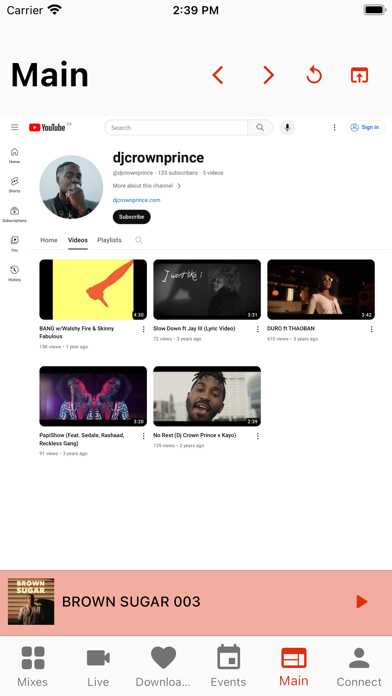 DJ Crown Prince Screenshot
