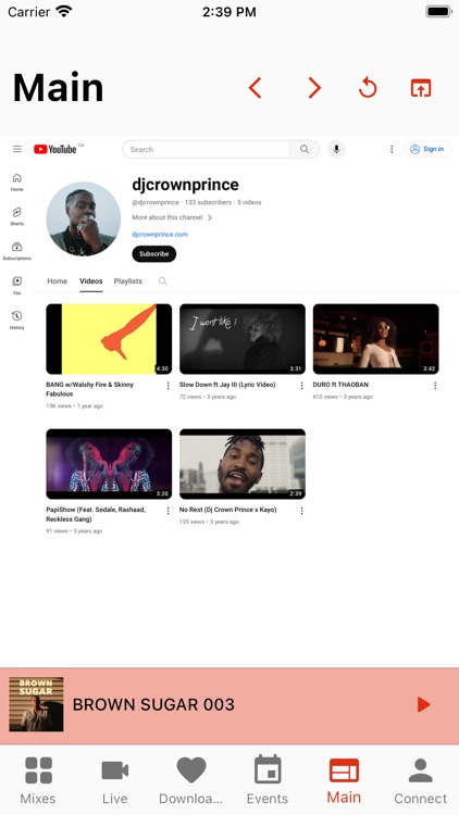 DJ Crown Prince screenshot-5