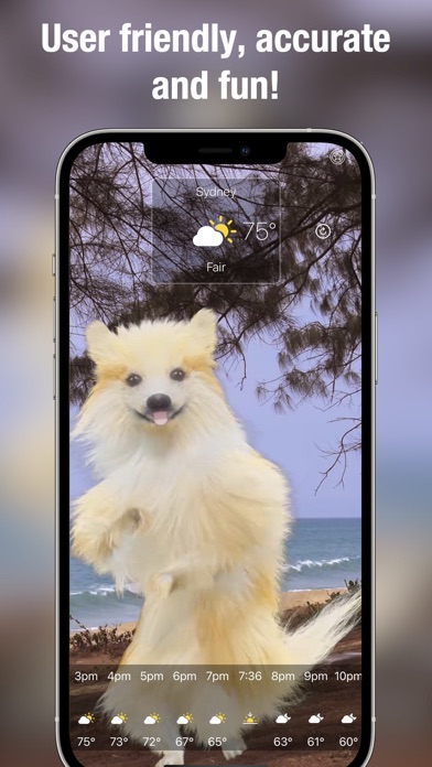 Dog Weather Live Screenshot