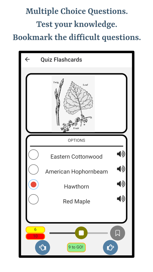 #3. Guess Trees From Leaves (iOS) Podle: Ghumman Tech LLC