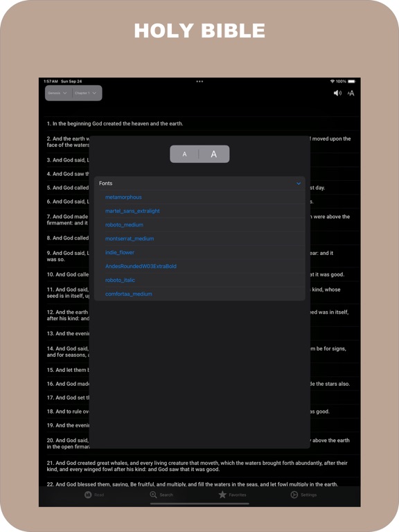 Screenshot #4 pour Holy Road - Bible