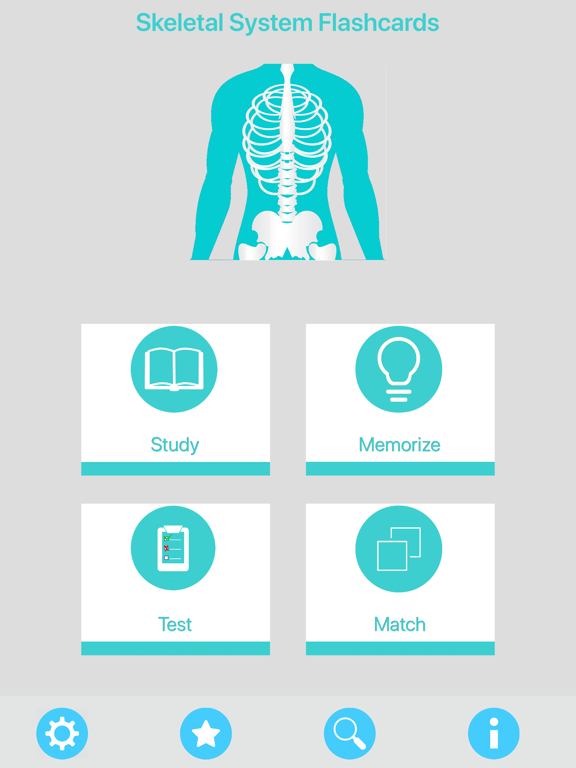 Screenshot #4 pour Skeletal System Flashcards