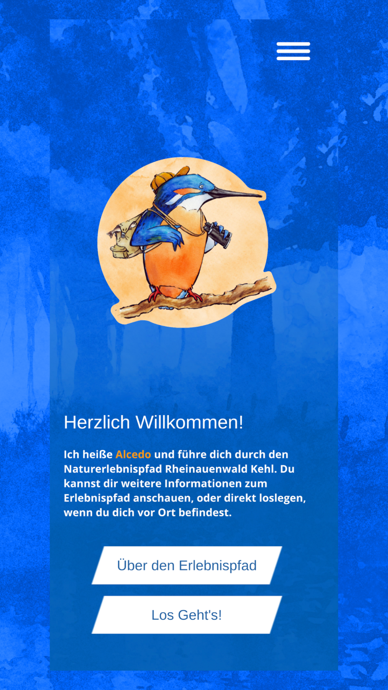 Auenwald - Kehl