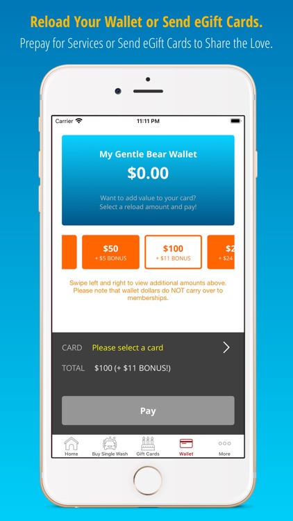 Gentle Bear Car Wash