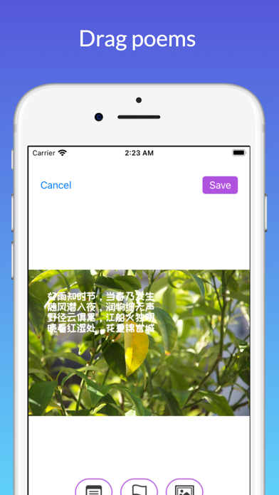 文艺照片 Screenshot