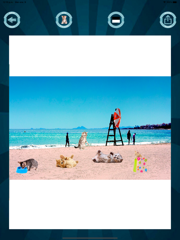 Cat face stickers filters iPad screenshot 4 - Photo & Video app