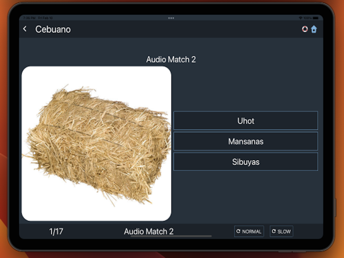 Bluebird Learn Cebuano