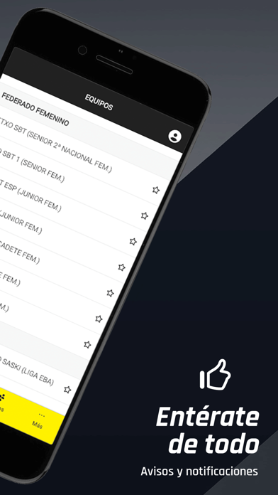 Getxo Saskibaloia Screenshot