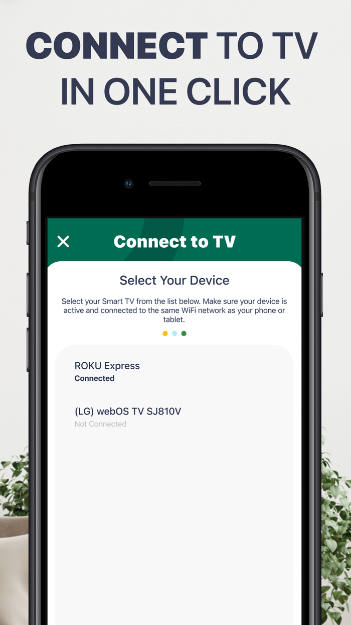 Screen Mirroring・Smart View TV