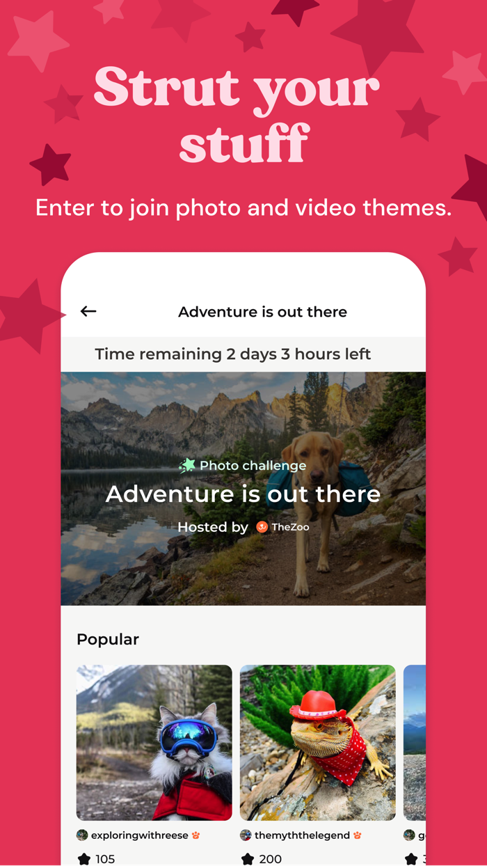 Zoo by Chewy - Pet Community