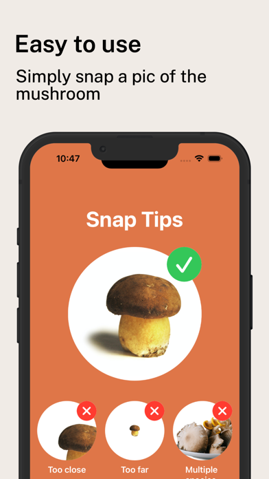 Mushroom Identification Pro Screenshot