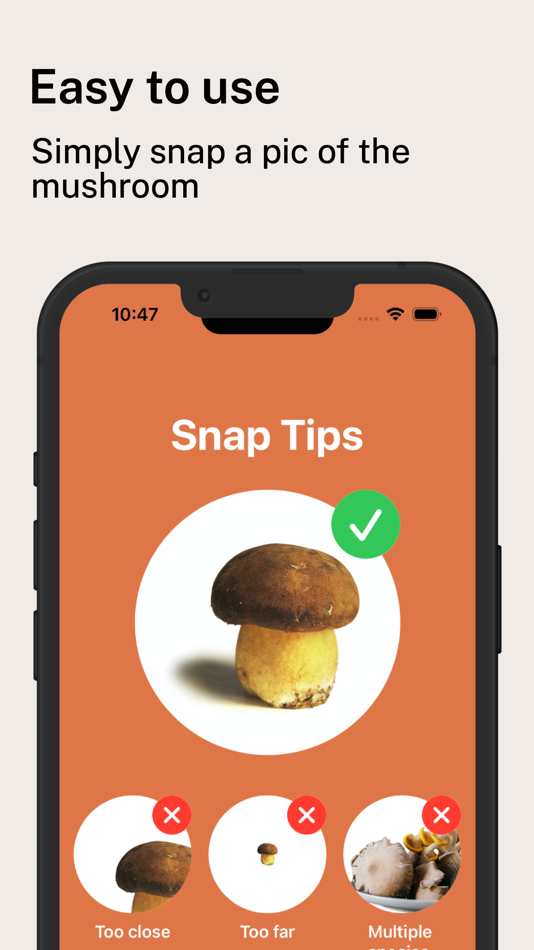#4. Mushroom Identifier Pro (iOS) 来自: Murphy Brantley