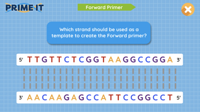 Prime It DNA Game Screenshot