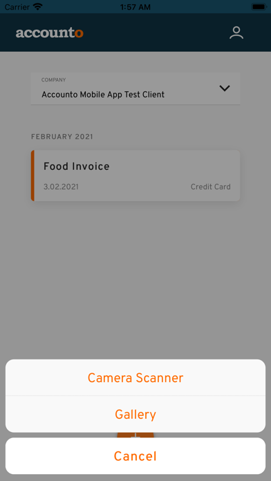 Accounto Screenshot