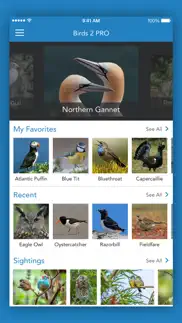 iknow birds 2 lite problems & solutions and troubleshooting guide - 4
