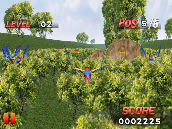 Bird Race 3D