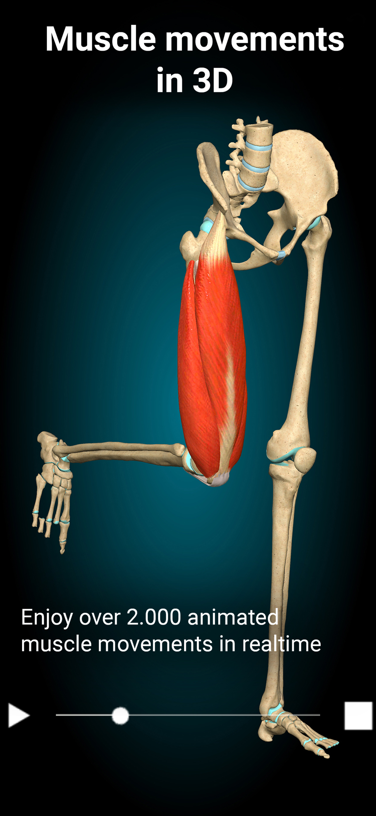 Anatomy Learning - 3D Anatomy