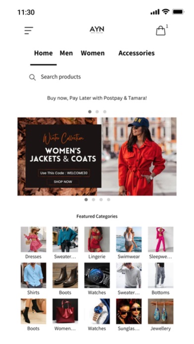 AYN Shop Online Screenshot