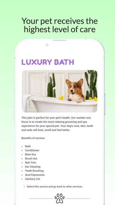 Exotic Pet Grooming Screenshot