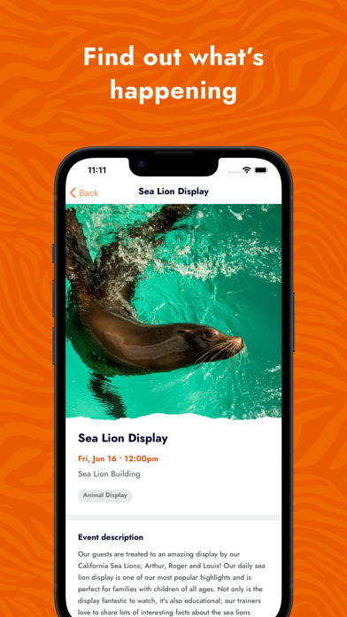 Knowsley Safari Screenshot