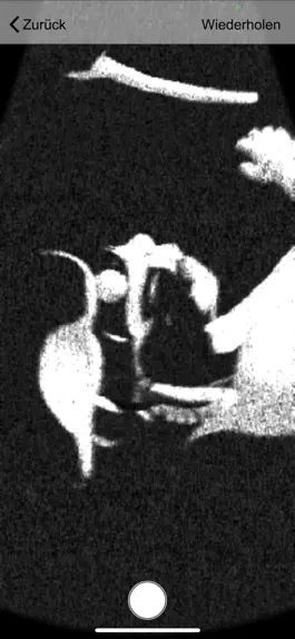 Download Ultraschall Game screenshot Ultraschall hack