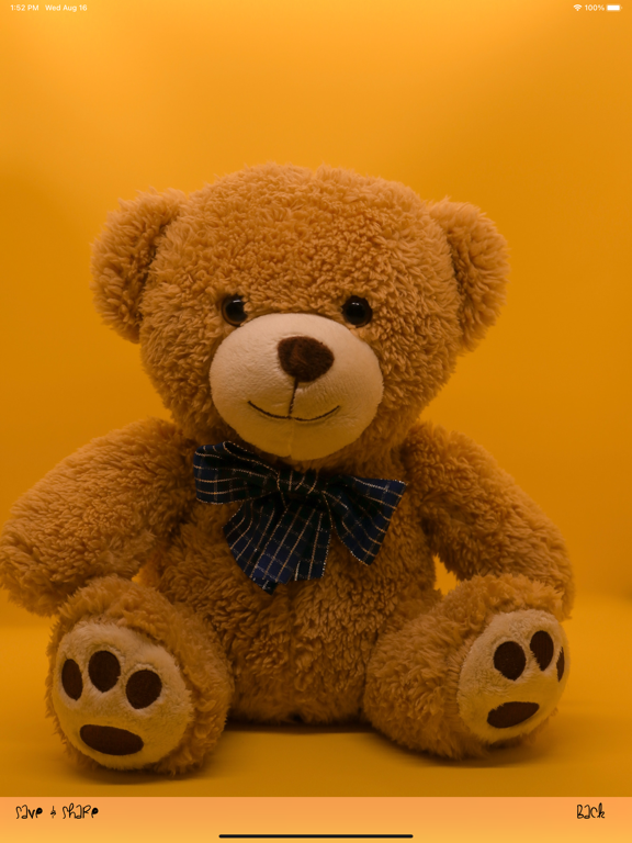 Screenshot #5 pour Ours mignon fonds d'écran HD