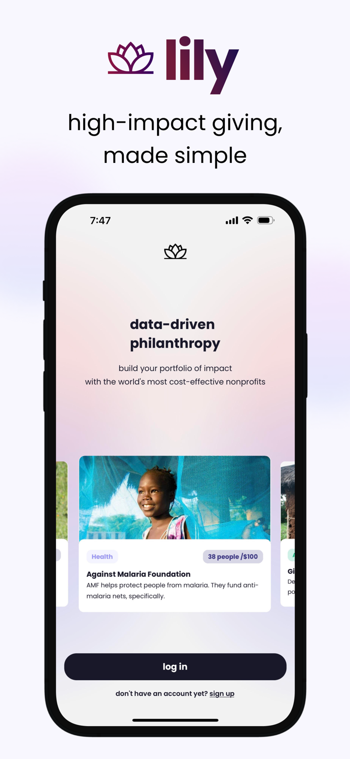 lily high-impact giving