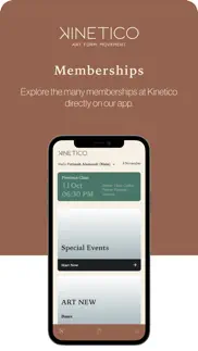 kinetico sa iphone screenshot 2