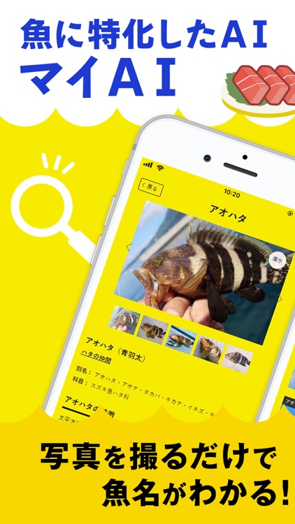 マイAI-AIが魚を判定する新しい魚図鑑