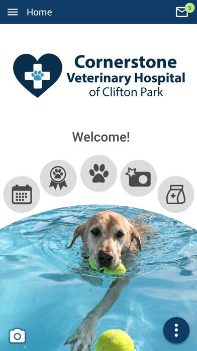 Cornerstone Vet Hospital Screenshot
