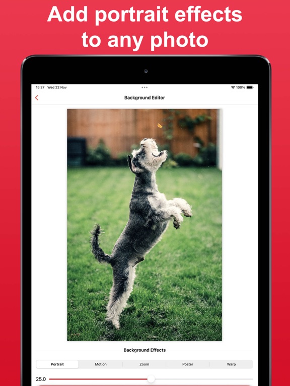 Photo Blur: Background Effect