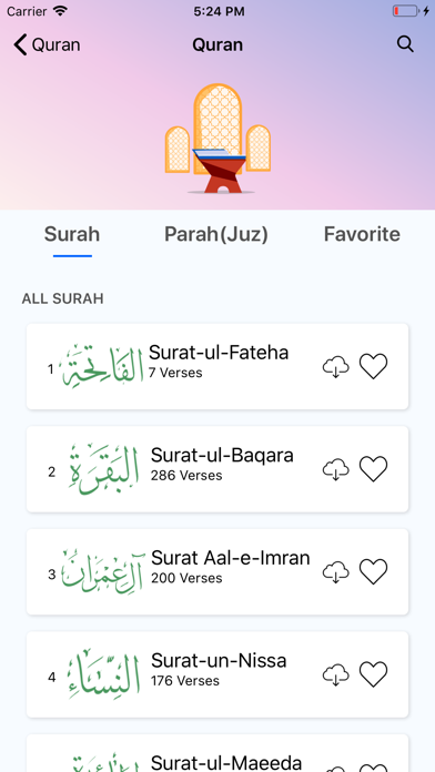 Quran Hindi 360 Screenshot