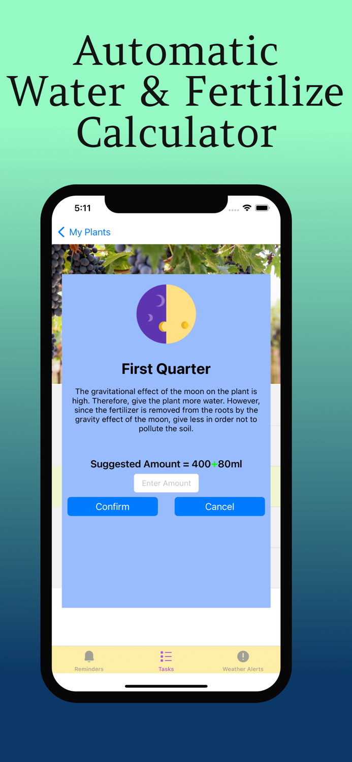 Plant Care Guide and Tips