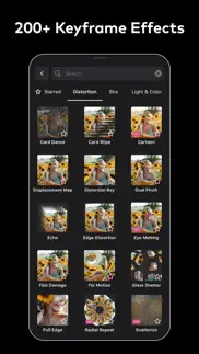 ivy professional video editor iphone images 2